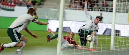 Euro 2016: Victorie "memorabila" pentru Irlanda de Nord, comenteaza presa